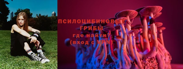 мяу мяу мука Новодвинск