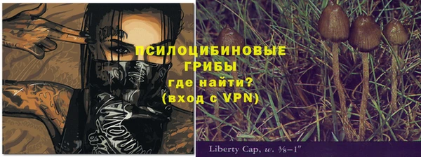ПСИЛОЦИБИНОВЫЕ ГРИБЫ Абдулино