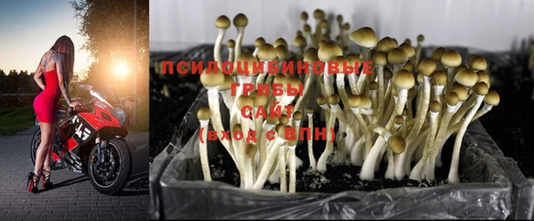 прущая мука Абаза