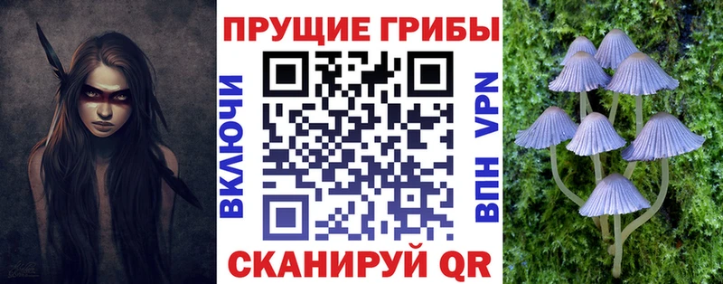 Галлюциногенные грибы Magic Shrooms  продажа наркотиков  KRAKEN маркетплейс  Брюховецкая 